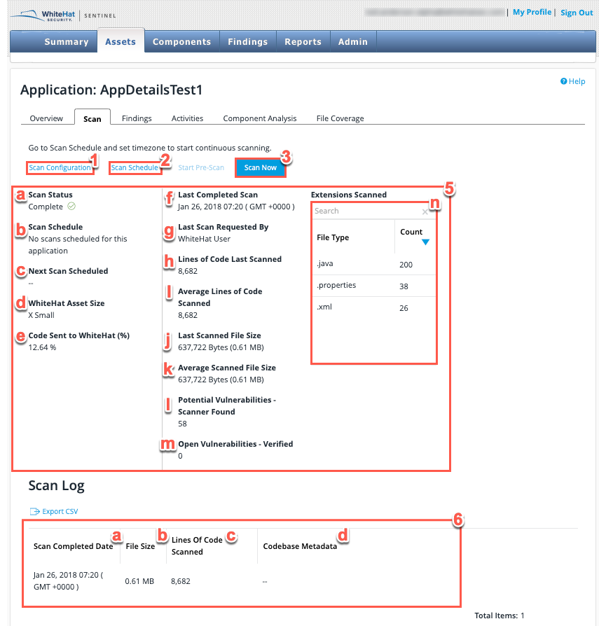 asset application scan